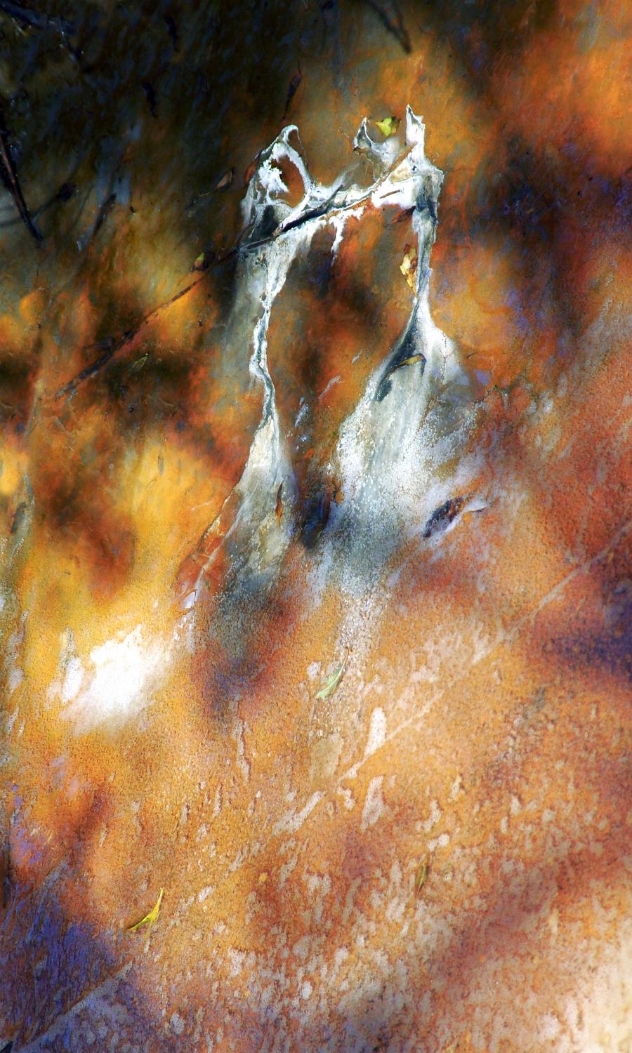 DANSE D'ARAMIS-90x150cm