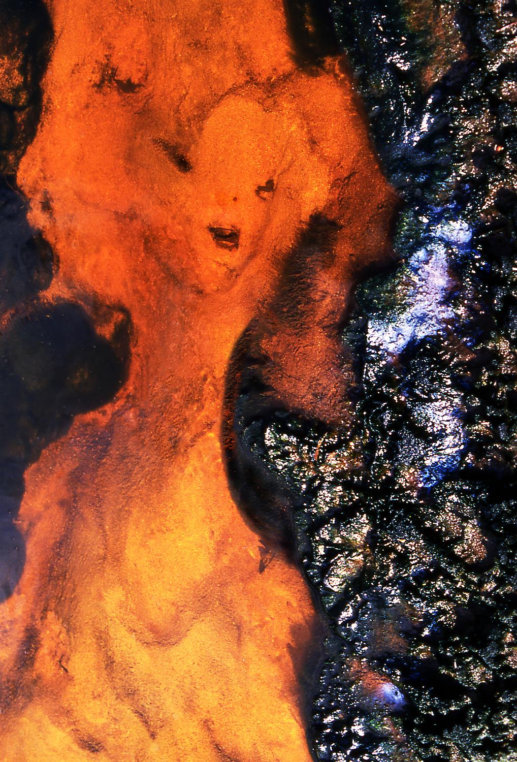 LA DIVINE ROUGE-115x170cm m1