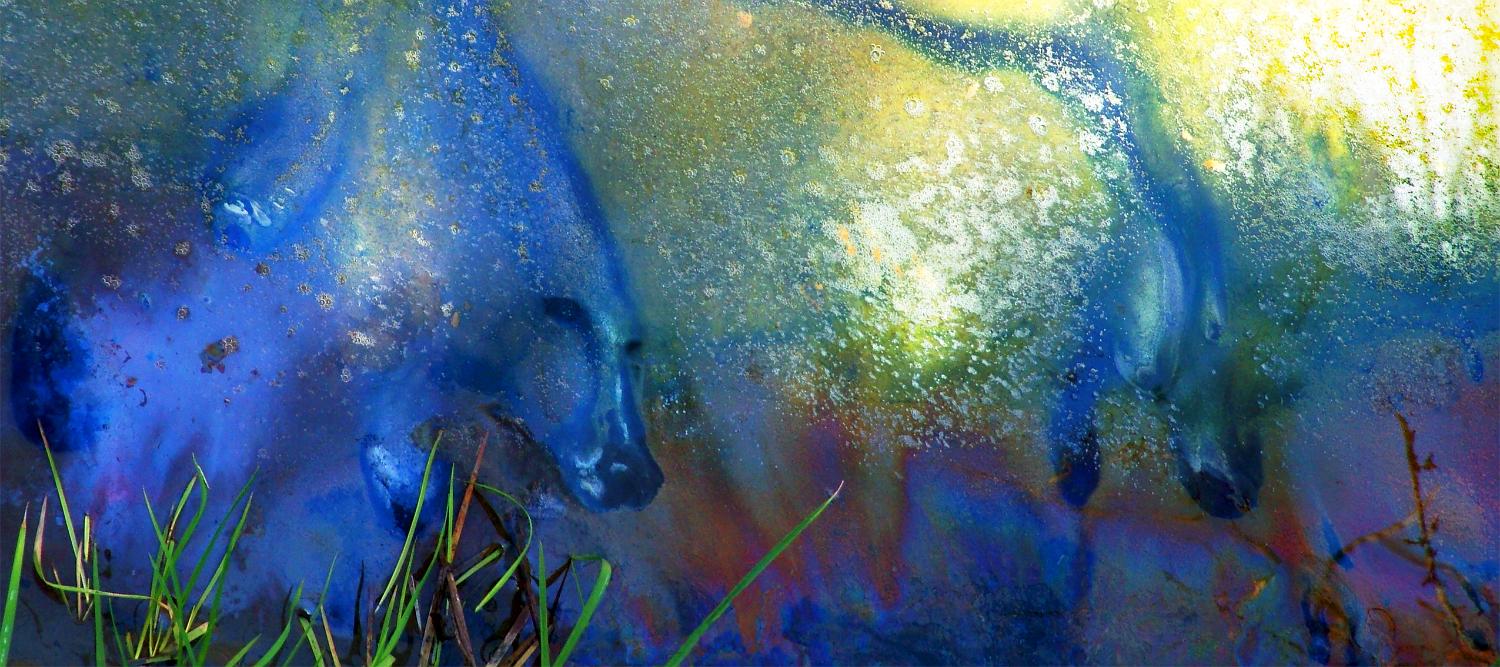 YEARLING BLUE-180x80cm