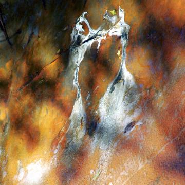 DANSE D'ARAMIS-90x150cm