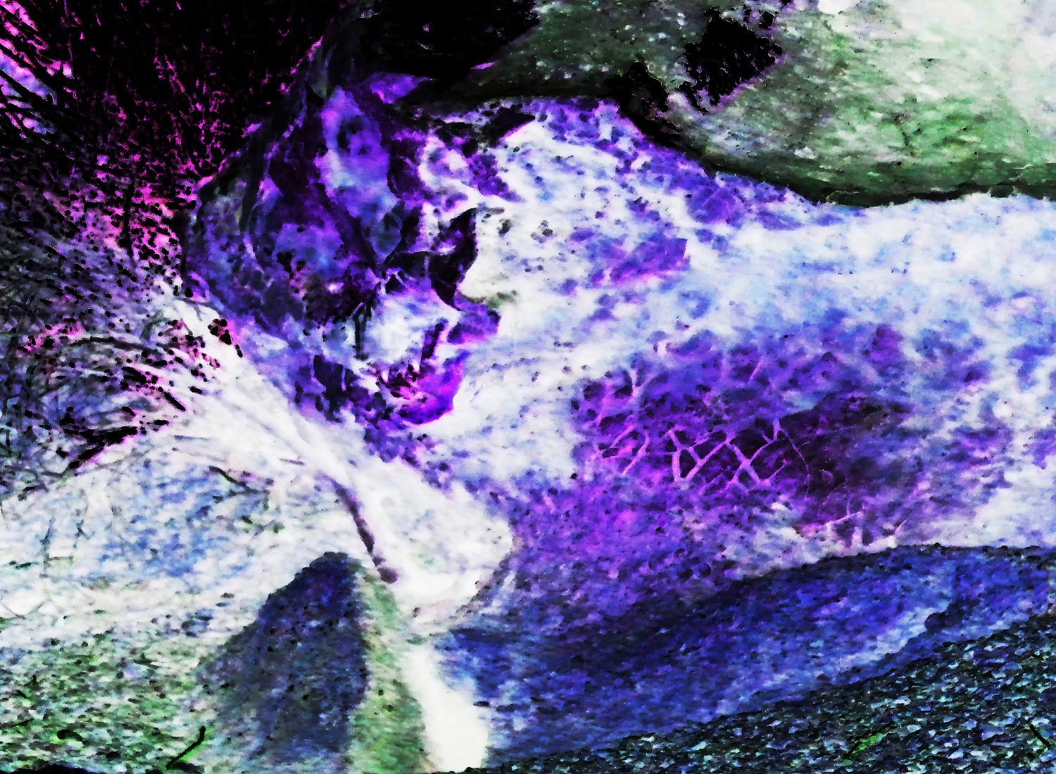 La BESTIA de GAVAUDAN