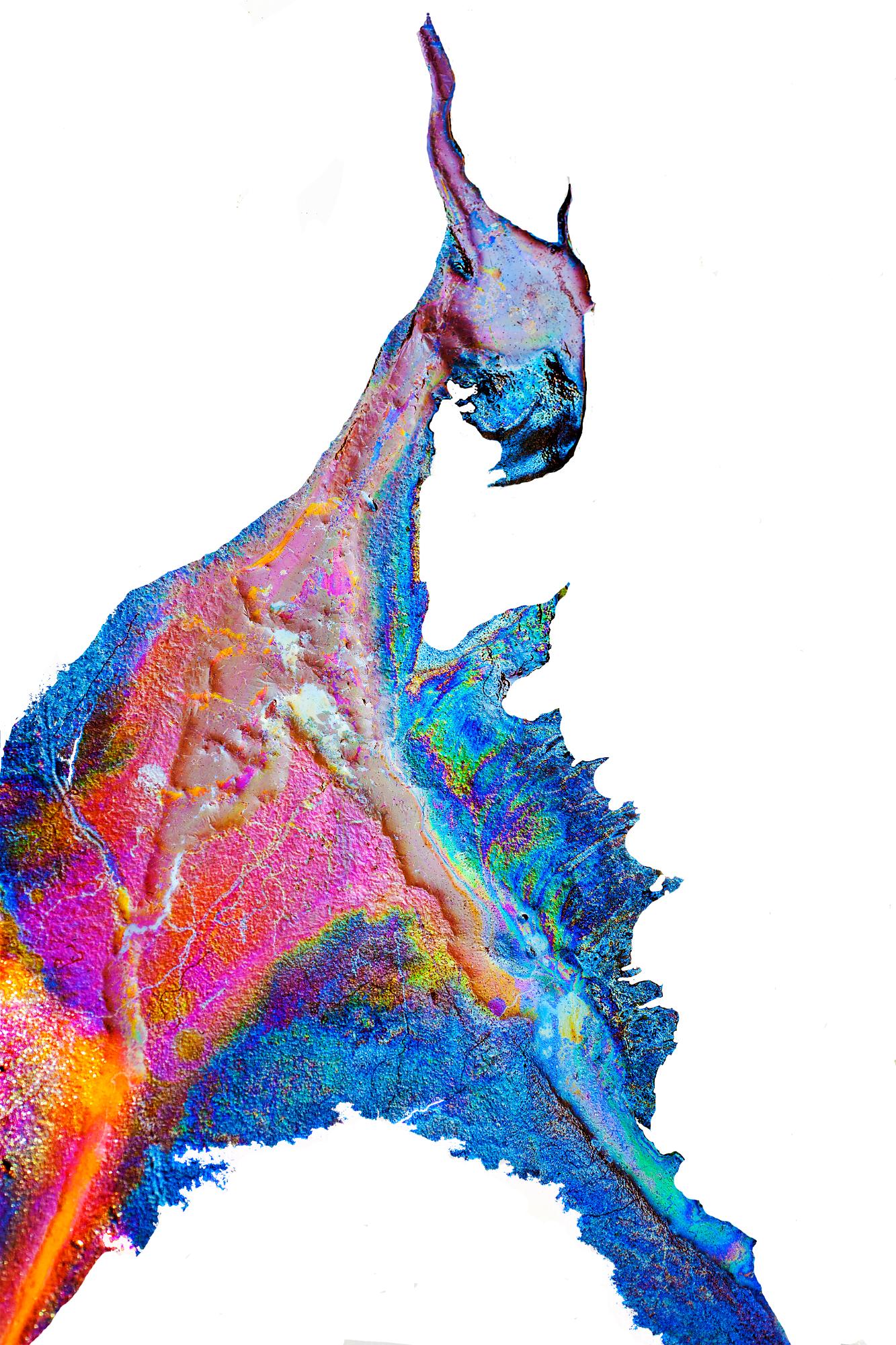 PARACERATHERIUM CORNU