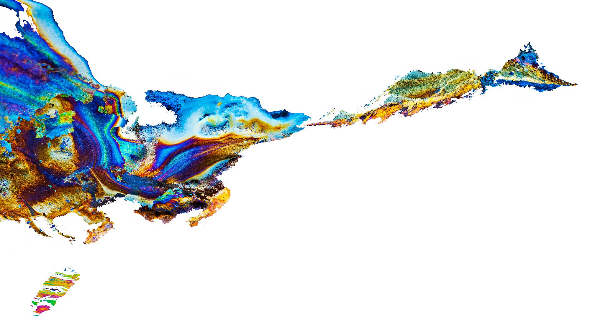 PPROCOPTODON CRACHEUR