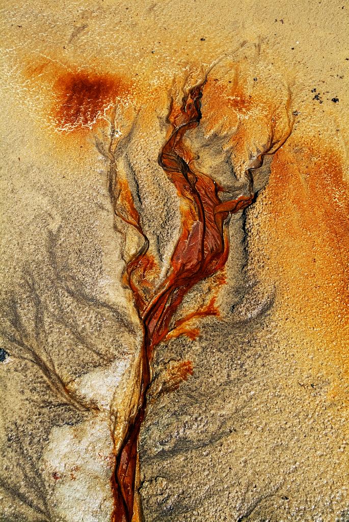 FLEUR DE FEMME 60x90cm