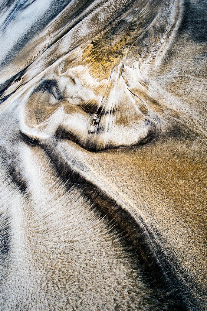 PELUCHE ABANDONNEE  60x90cm