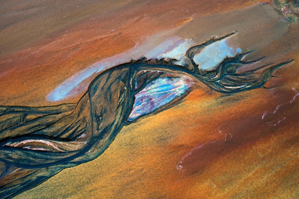 TENTACULE  MUSCULEUSE  90x90cm