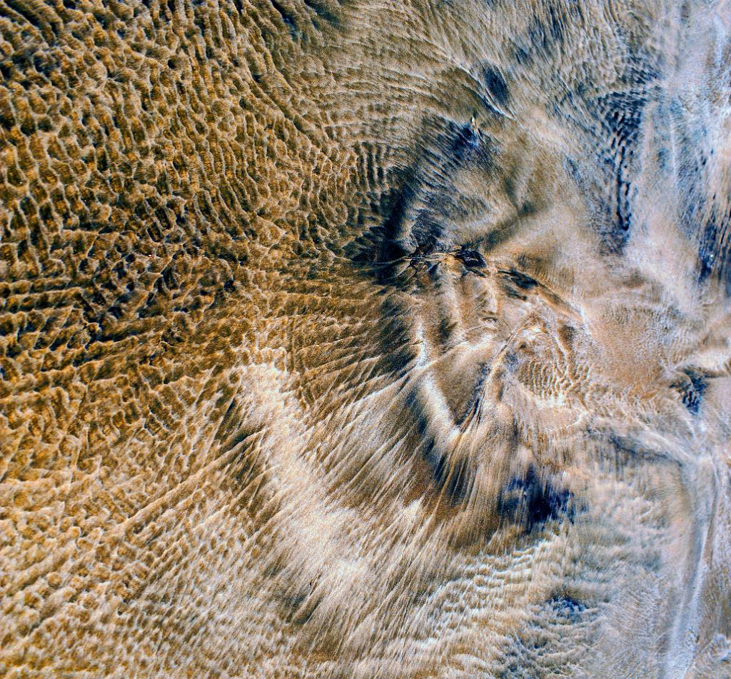 VISAGE EMMERGEANT  80x75cm