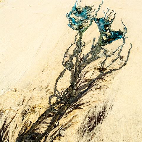 FLEURS HUMAINES 65x90cm