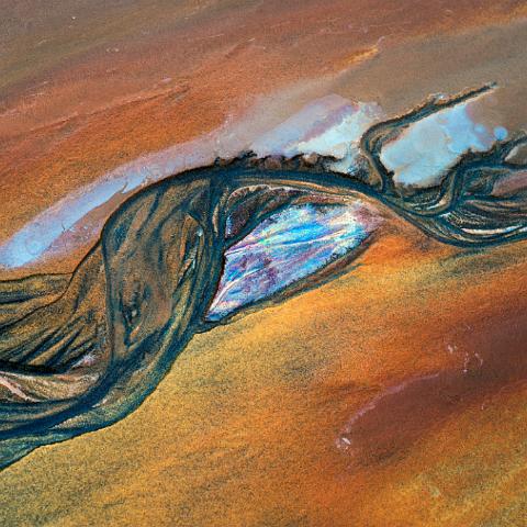 TENTACULE MUSCULEUSE 90x90cm