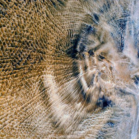 VISAGE EMMERGEANT 80x75cm