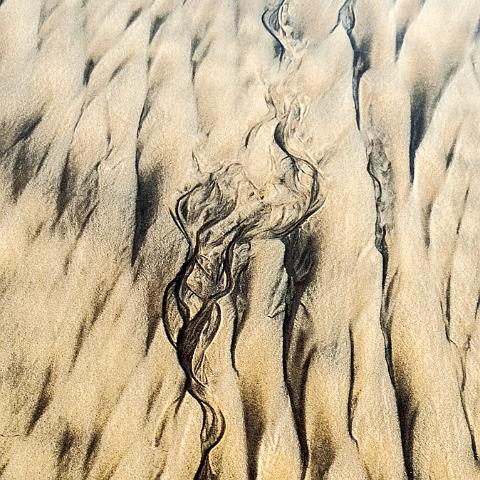 VOLUTES DE PLAGE 90x60cm